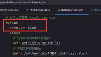 流域管理新思路：分布式水文模型应用与技术挑战