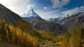 Go 并发编程踩坑记：Channel 死锁排查与避坑指南