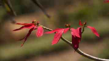 破解科技信息差：后端工程师的进阶之路与实战避坑