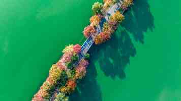 51单片机AD/DA转换：硬件选型、代码实现与实战避坑指南