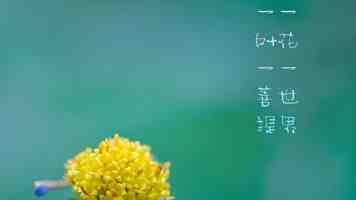 Uniapp Vue2 Vue3 通用：常量集中管理与优雅调用方案详解