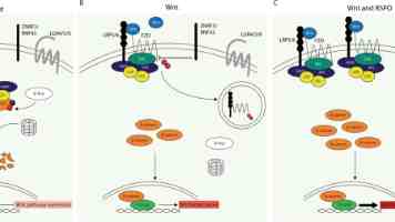 斩获 offer 的秘诀：资深架构师面试经验深度剖析