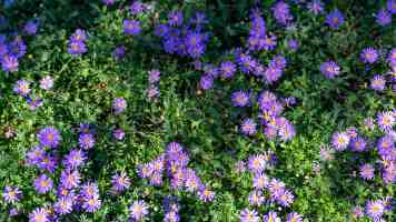 攻克 Week4 难题：Nginx 负载均衡与 Golang 并发优化实战