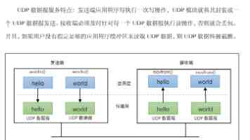 OSPF LSDB 信息一览：`display ospf lsdb brief` 命令详解与排错实战