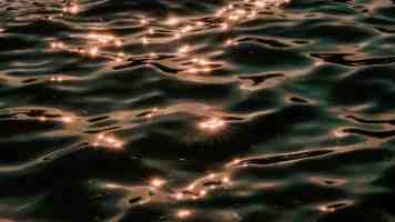 YOLOv8 赋能：Flask+Layui 打造智能行人跌倒检测系统（附源码模型数据集）