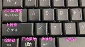 机器视觉3D检测：玩转 .ply 点云格式，避坑指南与深度解析