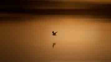 C++ 实战：巧用 SQLite3 打造轻量级数据库应用