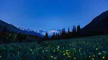 Spring IOC 容器：Bean 实例化、生命周期与循环依赖深度剖析