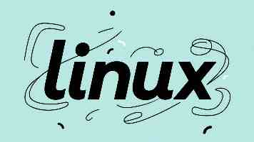 MySQL 性能优化实战：黑马程序员课程精髓与避坑指南